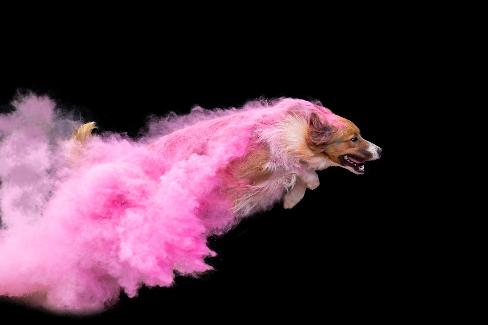 Holi Pulver Shooting Action Fotodesign Verena Scholze