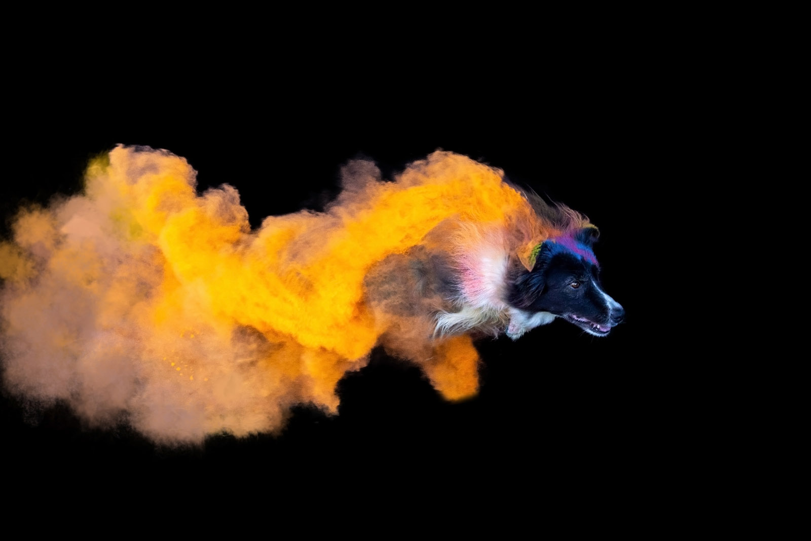 Holi Pulver Shooting Action Fotodesign Verena Scholze