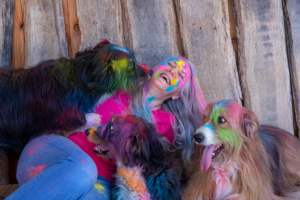 Verena Scholze Fotodesign Holi Pulver Fotoshooting Hunde Menschen Event